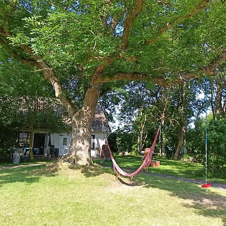 Appartement Nonnevitzer Dranske